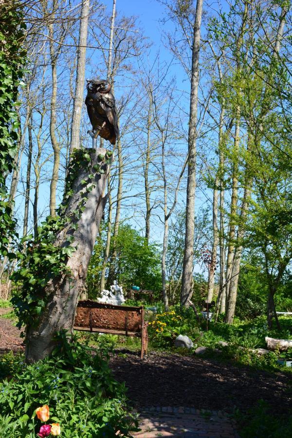 Wonderland Villa Pieterburen Dış mekan fotoğraf