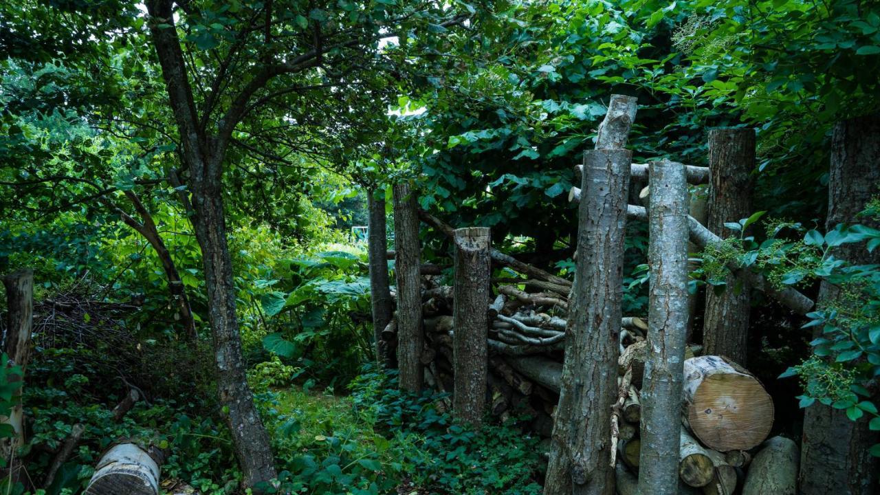 Wonderland Villa Pieterburen Dış mekan fotoğraf