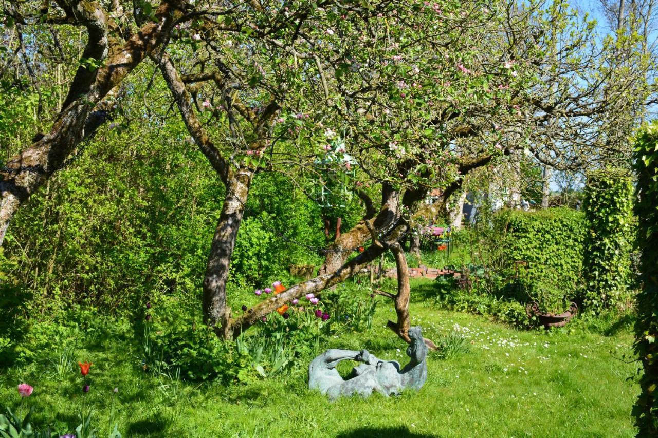 Wonderland Villa Pieterburen Dış mekan fotoğraf